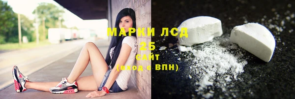 ПСИЛОЦИБИНОВЫЕ ГРИБЫ Алексин