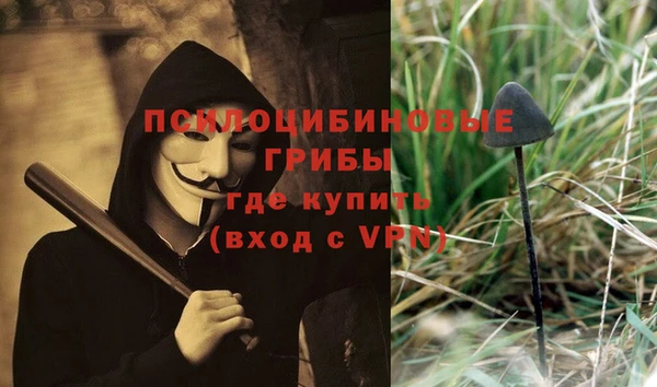ПСИЛОЦИБИНОВЫЕ ГРИБЫ Алексин