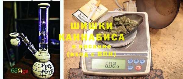 ПСИЛОЦИБИНОВЫЕ ГРИБЫ Алексин